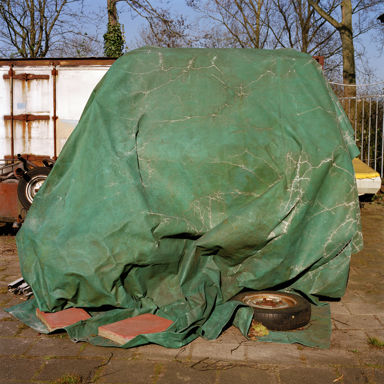 Jacquie Maria Wessels