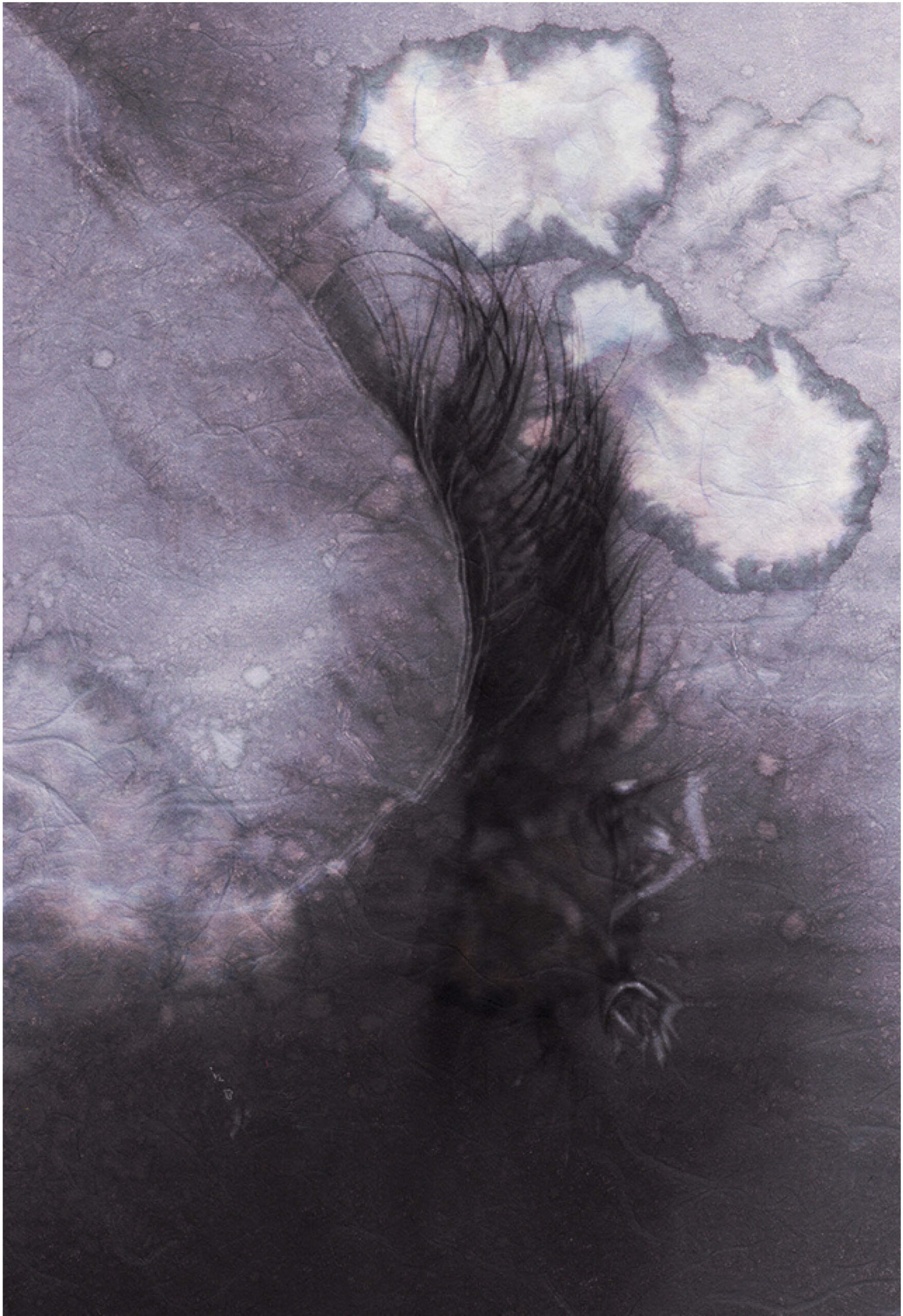 Eugenie Flochel Jahanshahi