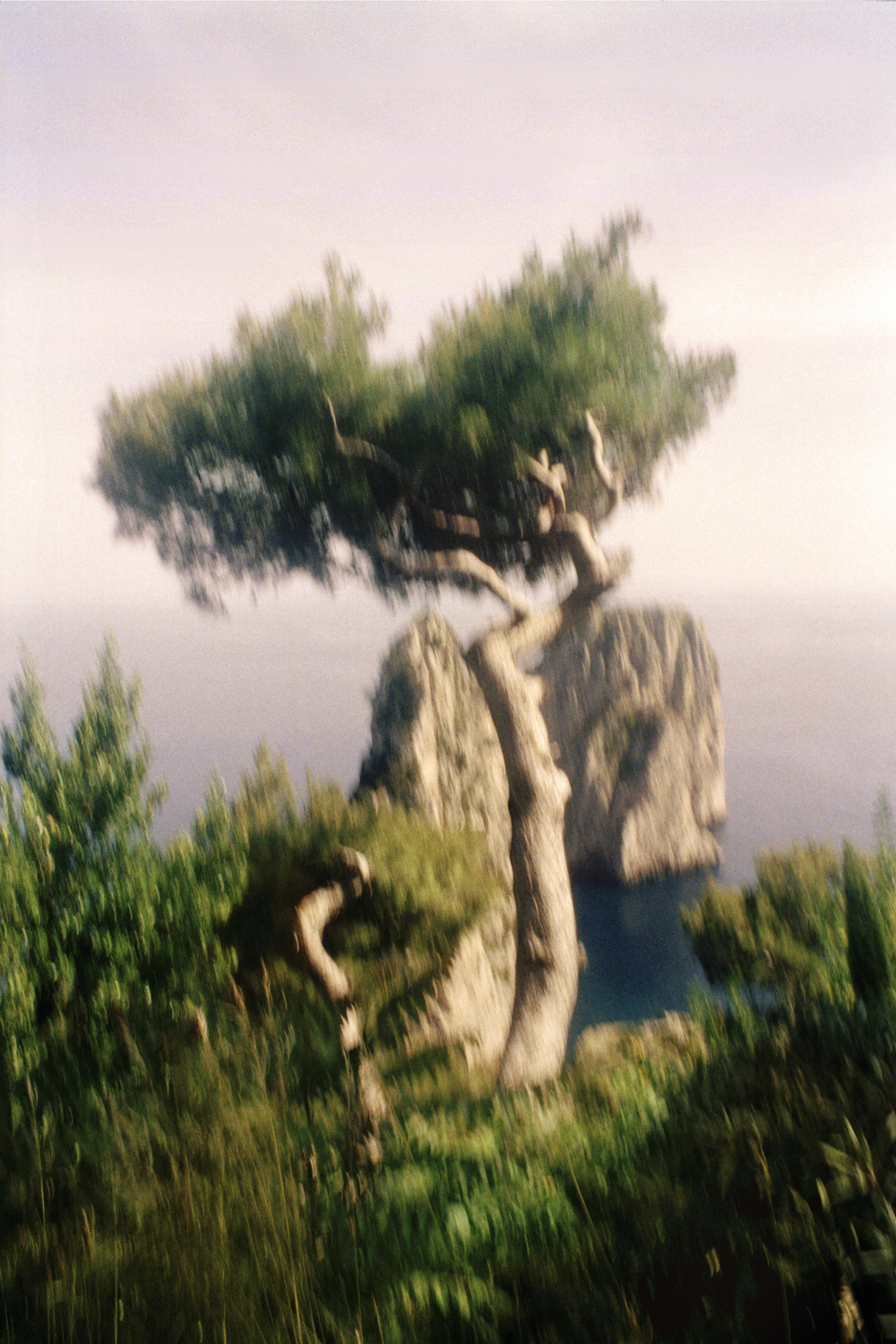 Jacquie Maria Wessels