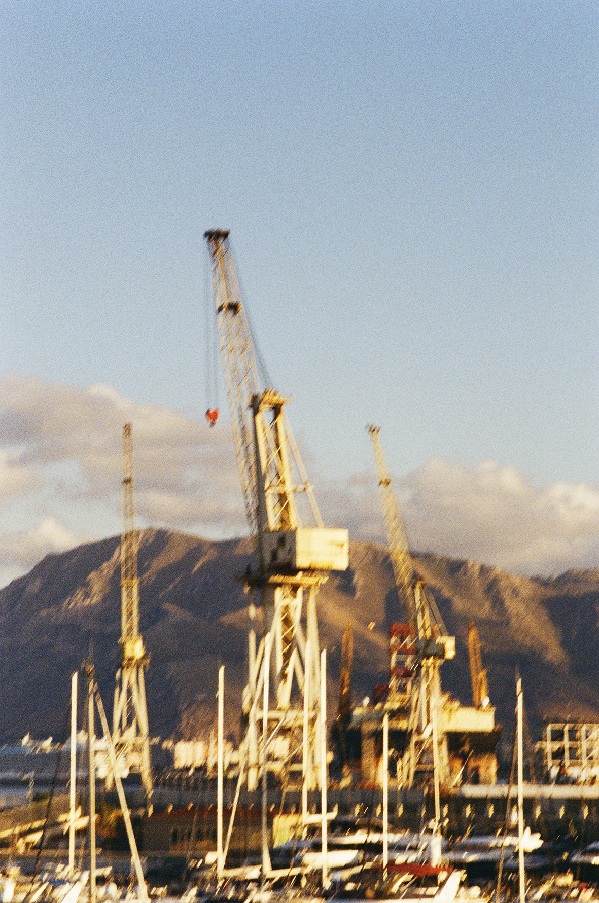 Jacquie Maria Wessels