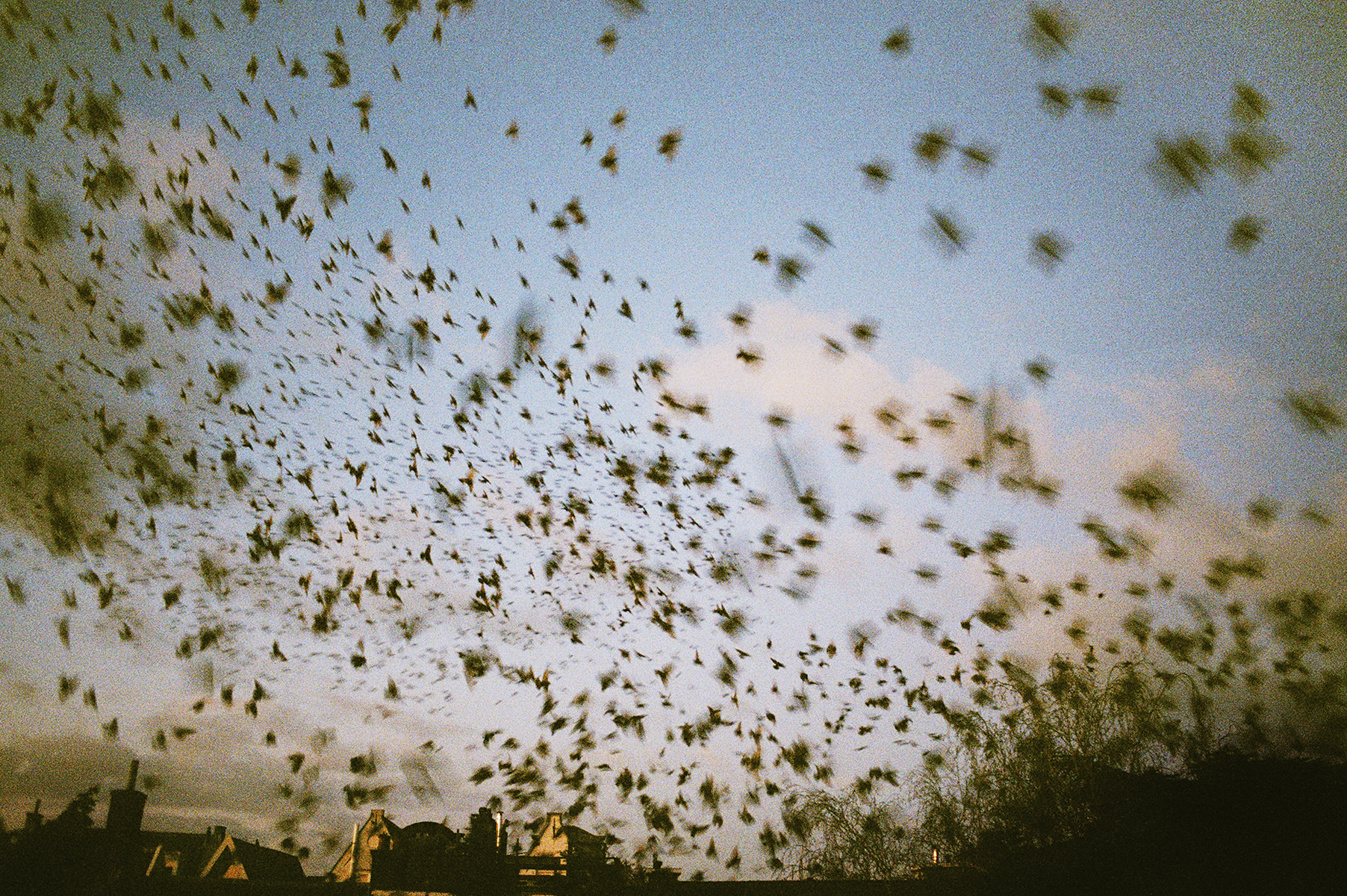 Jacquie Maria Wessels