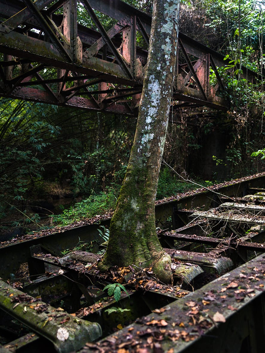 François-Xavier Gbré