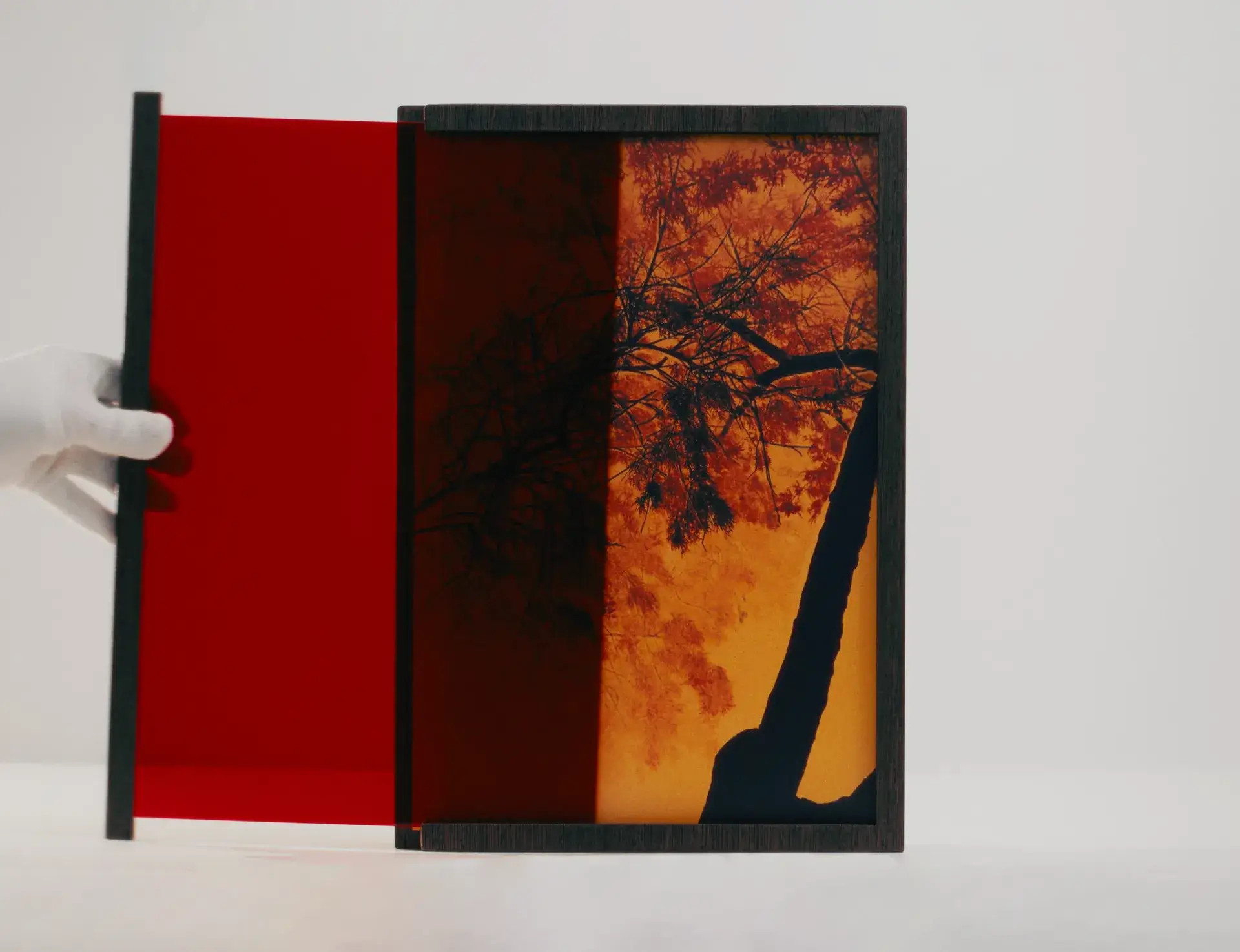 Marguerite Bornhauser