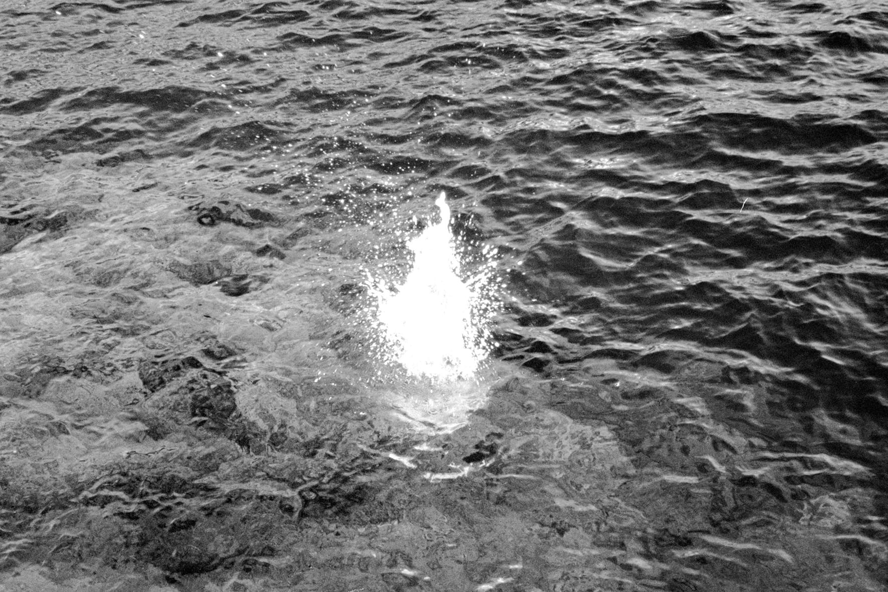 Elsa Martinez / Marie Hervé