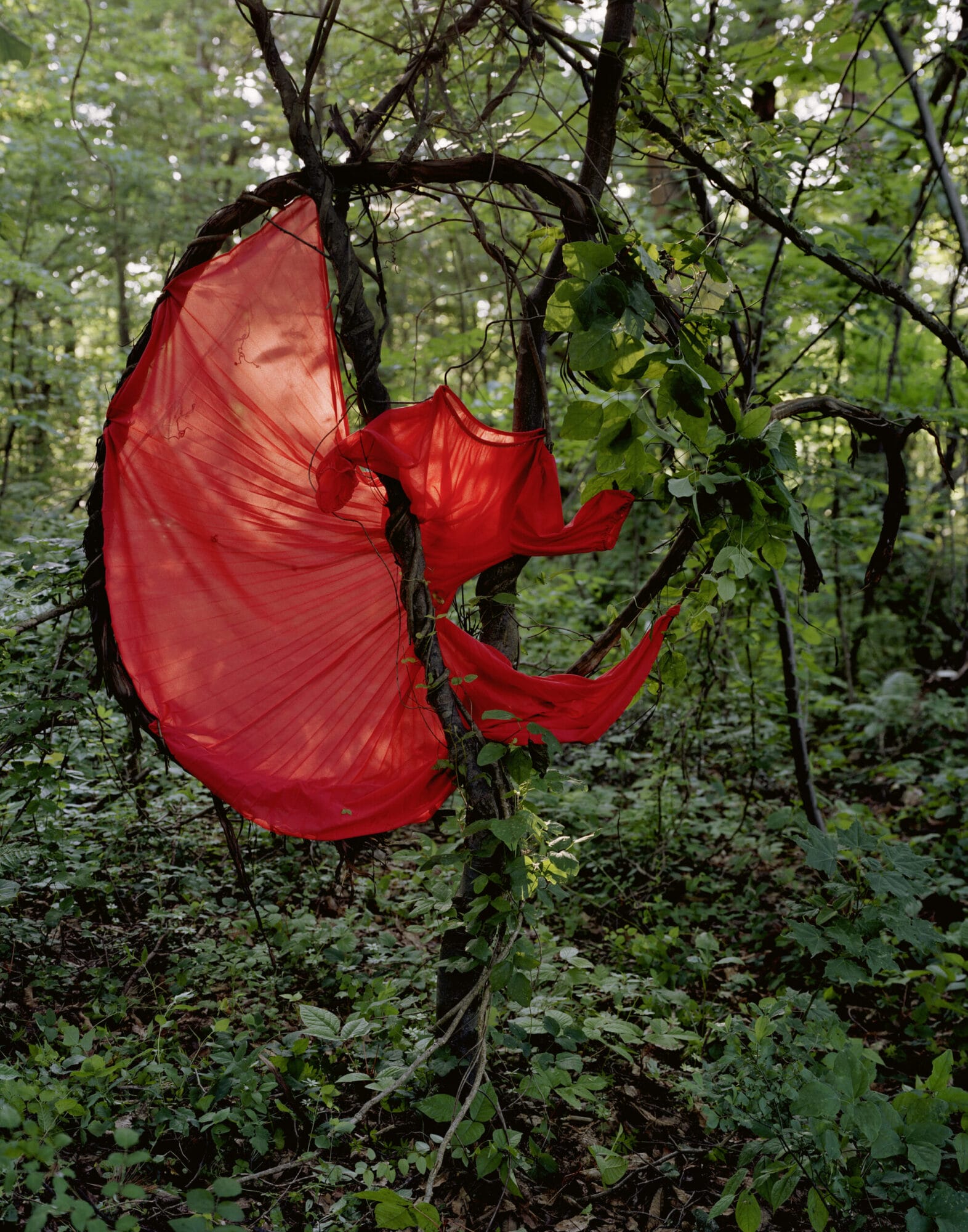 Riitta Päiväläinen