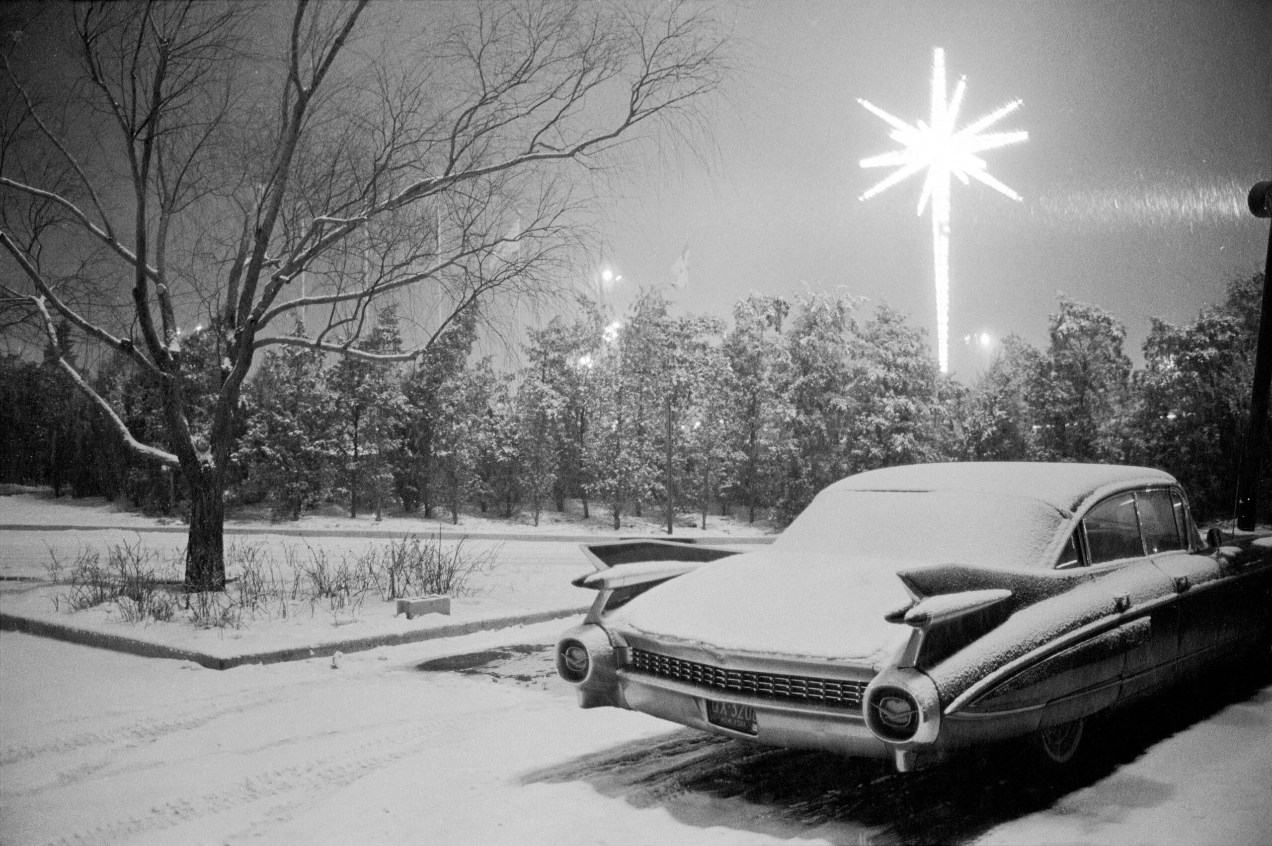 Joel Meyerowitz