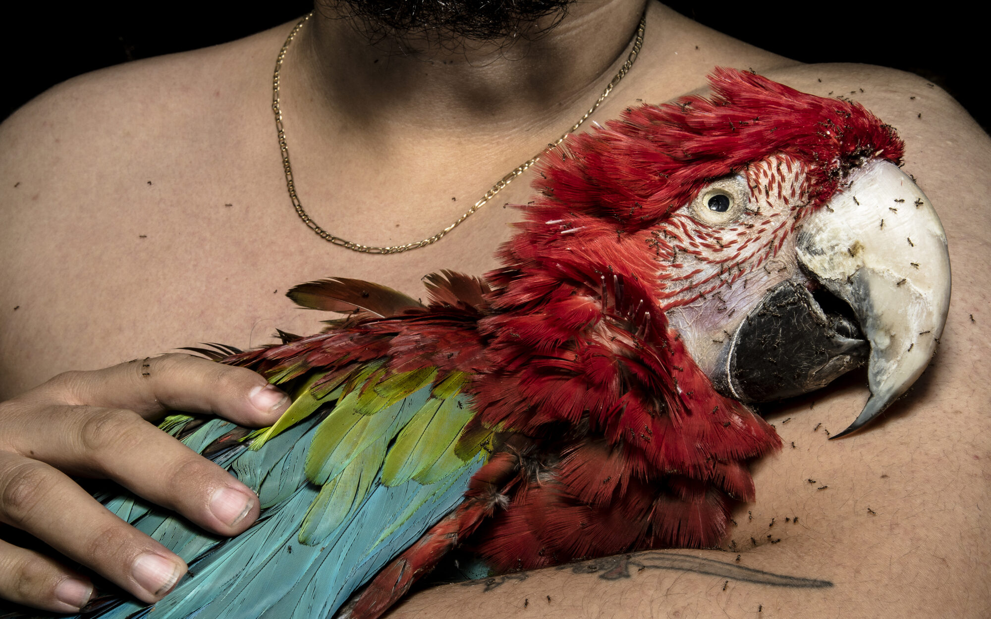 Raúl Jiménez Jiménez