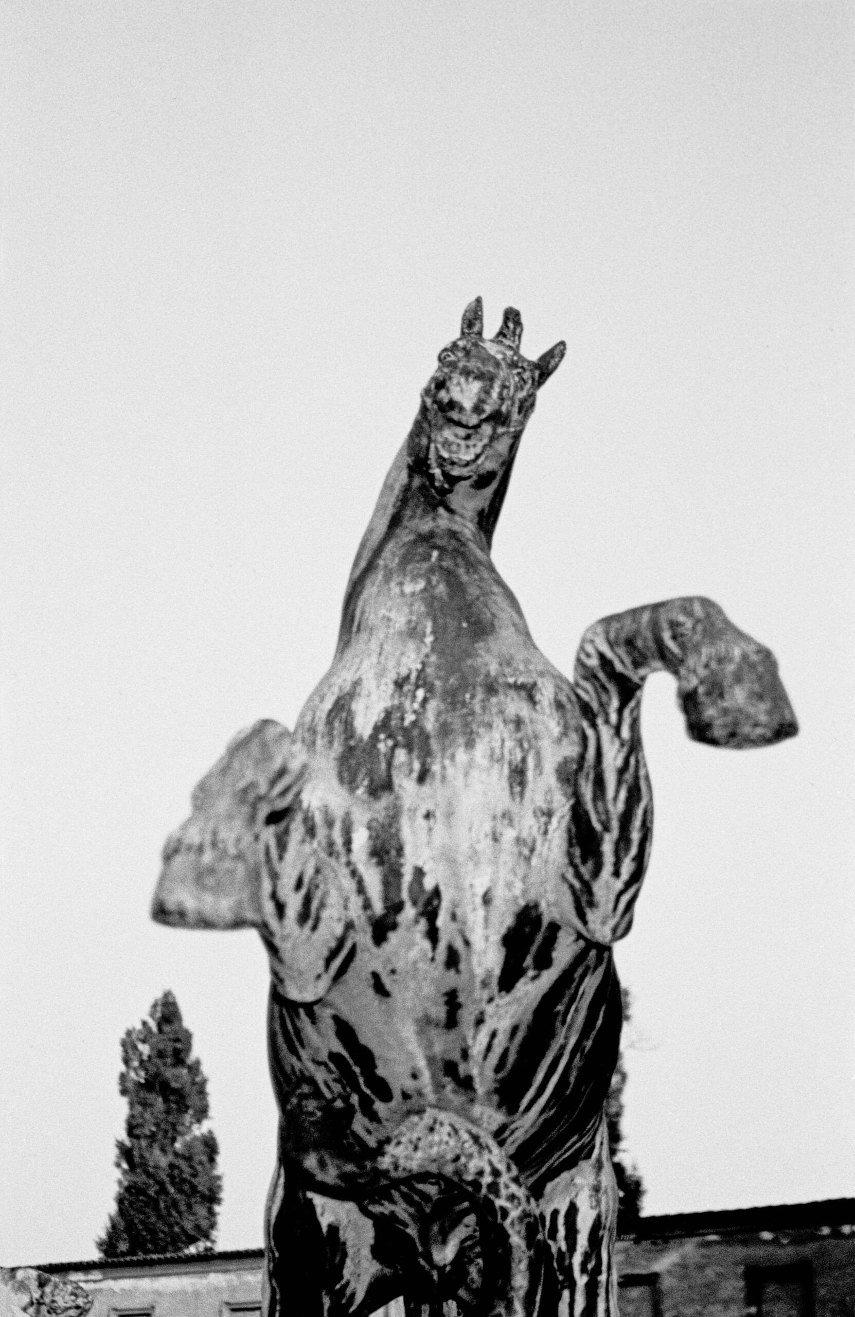 Libuše Jarcovjáková