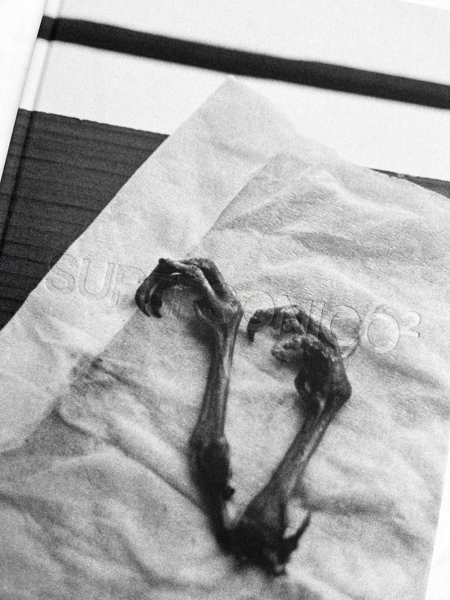 Libuše Jarcovjáková