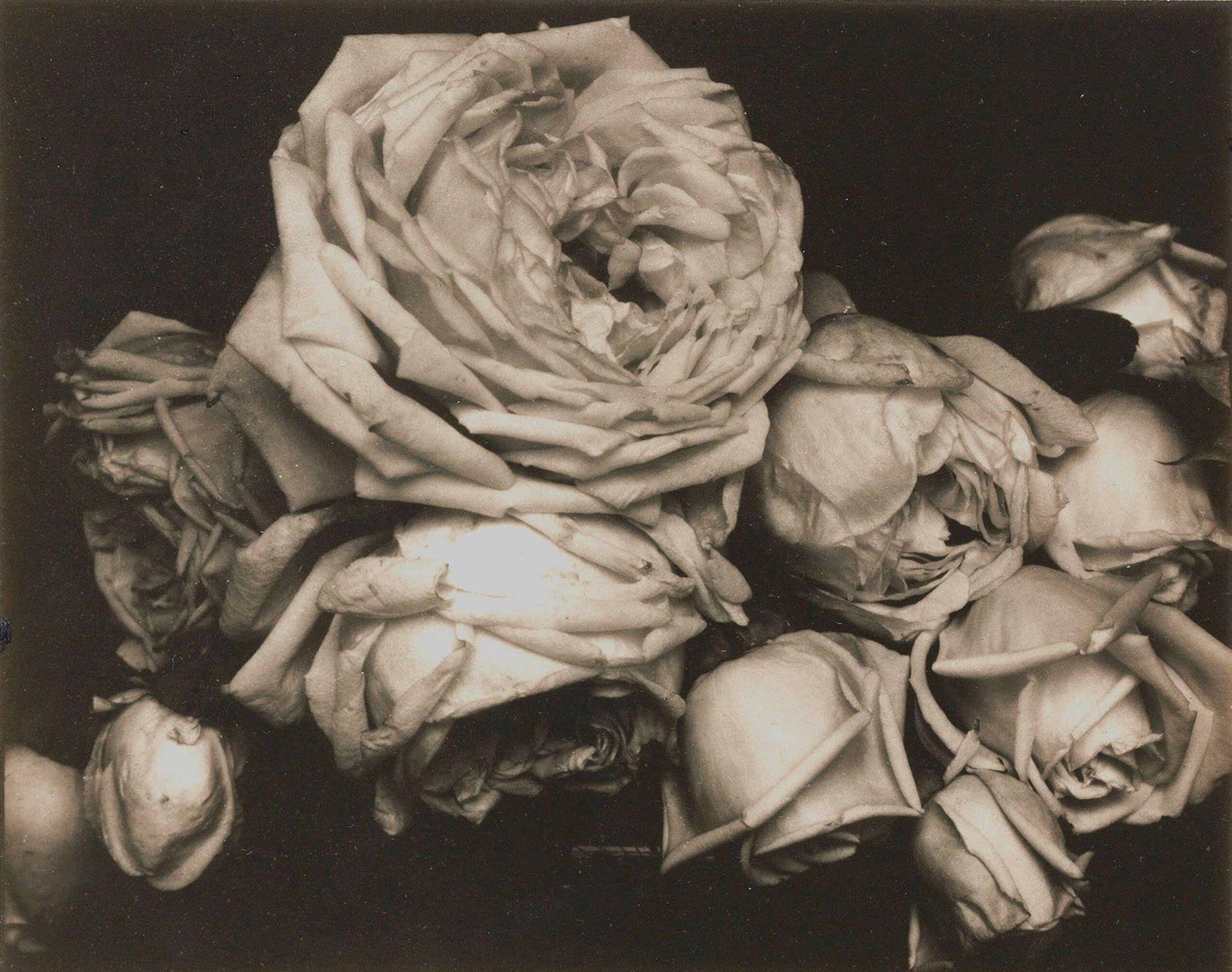 Edward Steichen