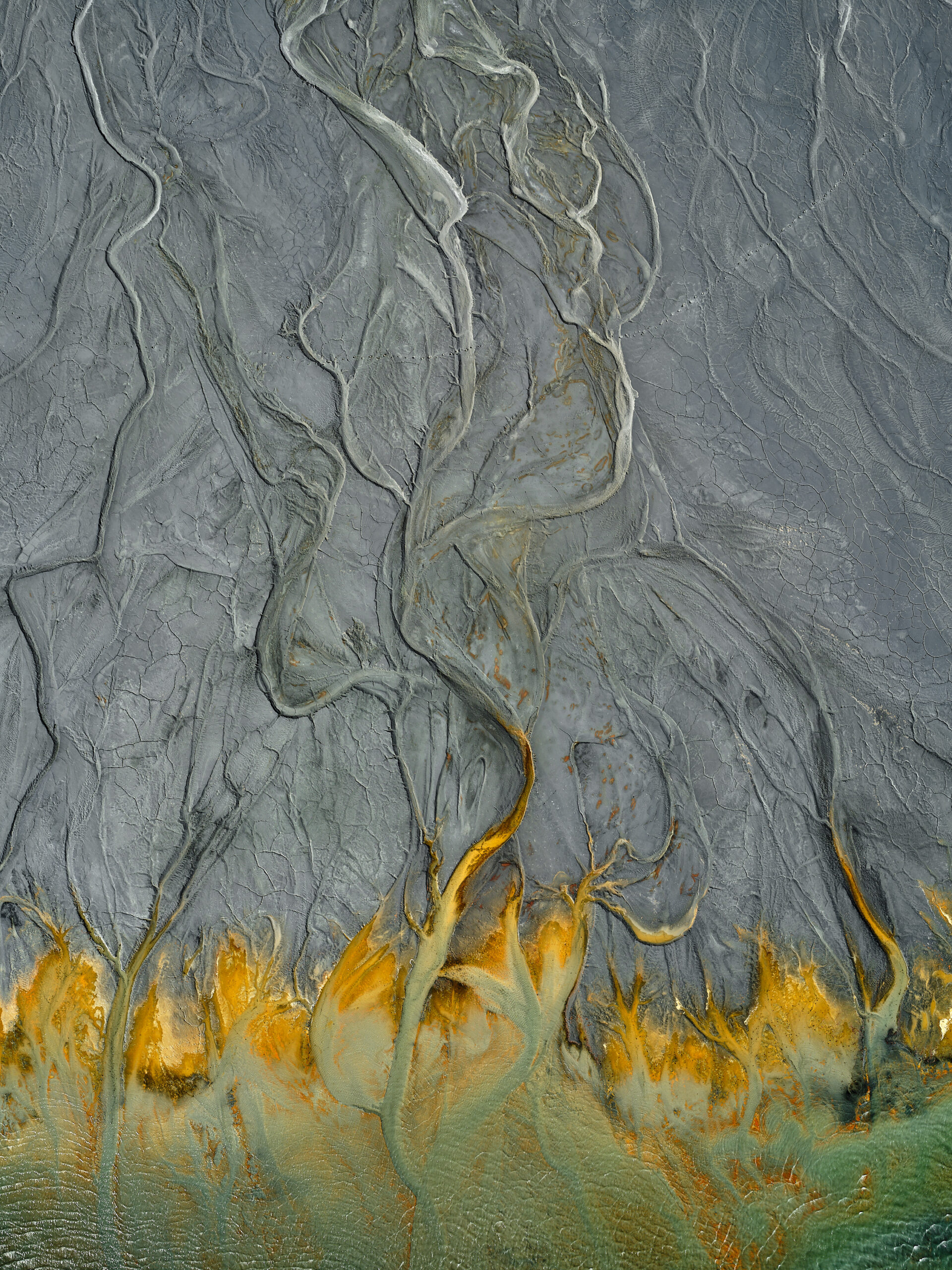 Edward Burtynsky