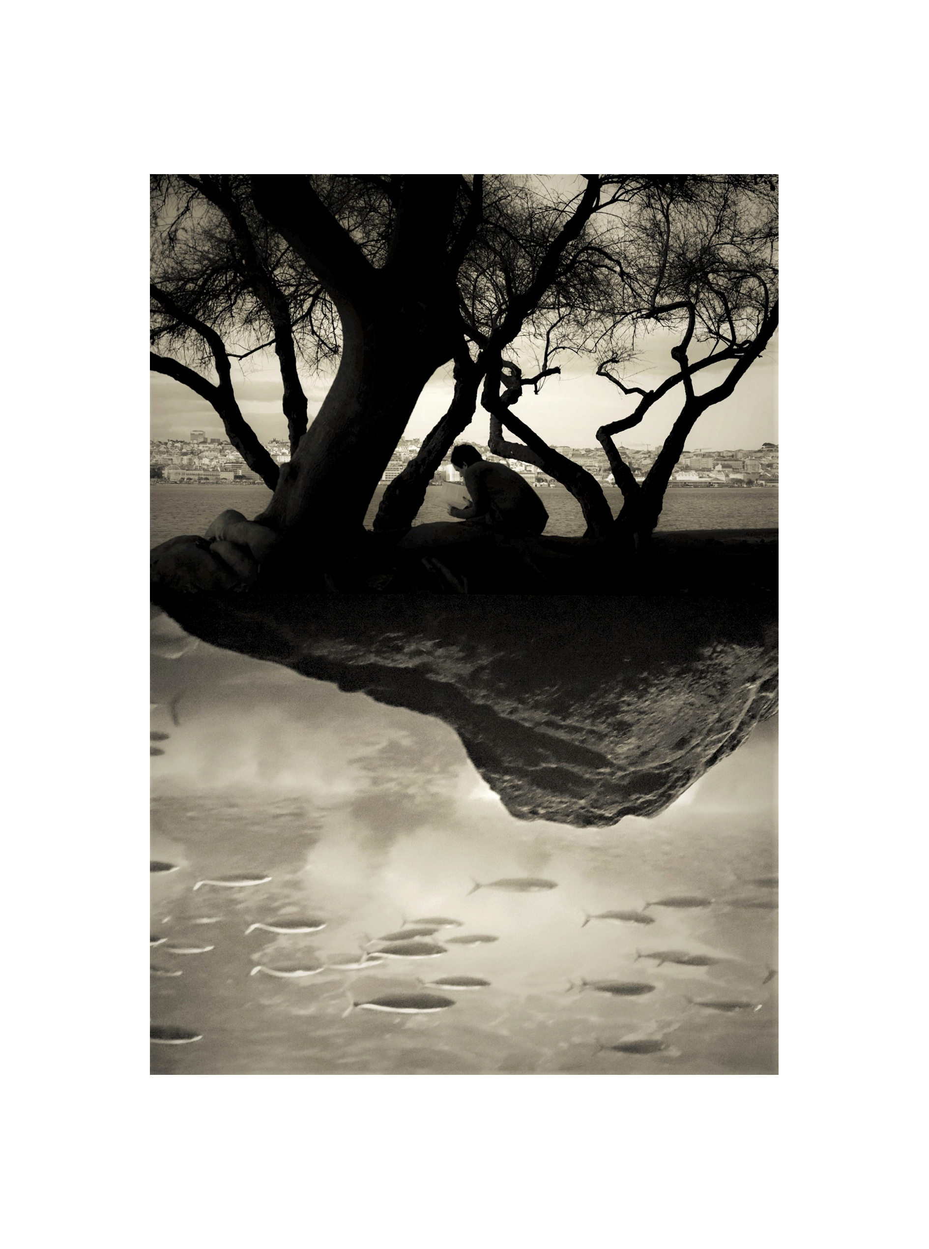 Andrea Christl